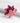 Katerina Psoma Alice Crystal Brooch
