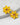 Katerina Psoma Yellow Clip Crystals Earrings gold plated