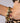 Katerina Psoma Lucy Bracelet with Tiny Stones