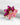 Katerina Psoma Alice Crystal Brooch