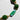 Katerina Psoma shor necklace with green beads and blue murano glass